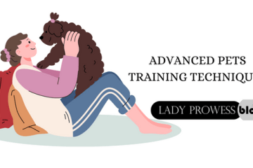 Advanced Pet training techniques